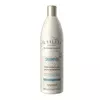 Botella de shampoo IL Salone Detox y Antipolución de 500ml, diseñada para limpiar y proteger el cabello.