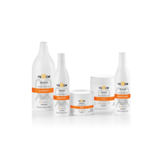 Shampoo Repair 500ml en internet