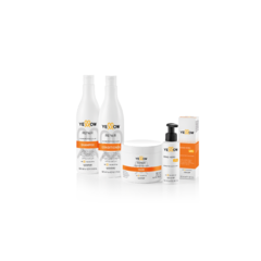 Shampoo Repair 500ml - alfaparfmilano