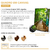 Quadro Vertical - Caminho Escada Natureza - CN na internet