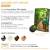 Quadro Horizontal Praia Entardecer PE1 - comprar online