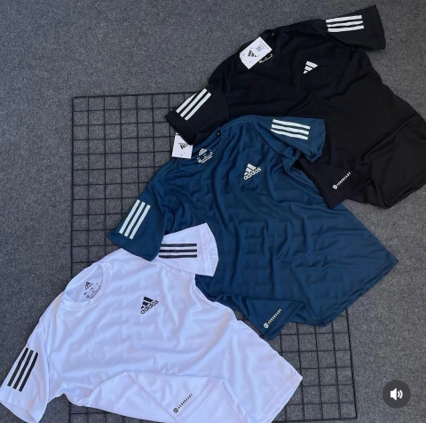 CAMISA DRY FIT - comprar online