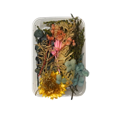 PACK FLORES PLANTAS Y HOJAS SECAS VARIAS