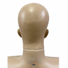 Busto Feminino Com Cabeça JP - SMexpositores