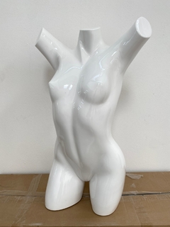 Busto Feminino Auto Brilho, Top!!! - SMexpositores