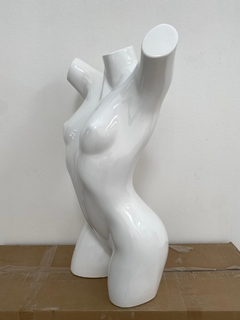 Busto Feminino Auto Brilho, Top!!! - loja online