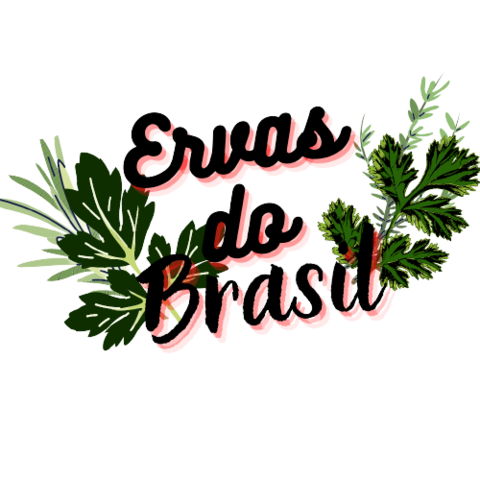 Ervas do Brasil