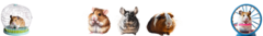 Banner da categoria Roedores