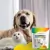 COMPPLET MIX PET A-Z TABS 120G - comprar online
