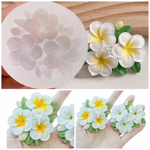 MS753 FLORES 0015