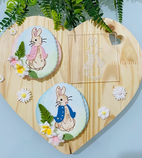 TQ38 COELHO PETER RABBIT 8X8CM 0010
