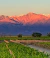 Vinhos Argentinos