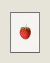 CUADRO VINTAGE STRAWBERRY 01 - comprar online