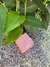 CUBO ROSA - ROJO