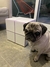 CUBO WHITE/LILA OUTLET