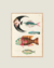 CUADRO PECES RAROS 01 - comprar online