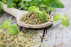 venta de oregano