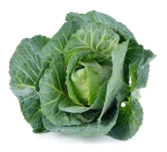 venta de semillas repollo