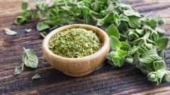 venta de oregano