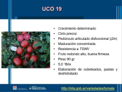 SEMILLAS TOMATE Uco-19 (industria)