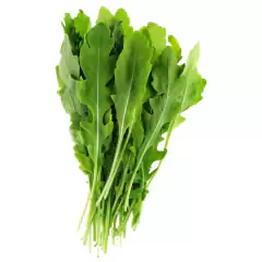 SEMILLAS ACHICORIA Fina de Corte - comprar online