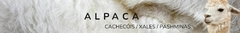 Banner da categoria Cachecóis / Xales e Pashminas