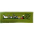 Bordado Titicachi Pequeno Verde - comprar online