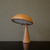 Luminária Baobá / Mesa na internet