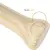 Kit Baseball Iniciante Denver Nude Bel - Clube Bel