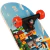 SKATEBOARD RADICAL INICIANTE - SORTIDOS BEL - Clube Bel