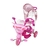 Triciclo Motinha com Capota 3 em 1 Rosa