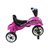 Miniciclo Tico Tico Rosa na internet