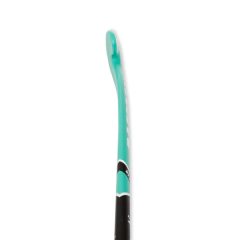 Palo RACCOON 2024 Alpha 10 37.5" - TodoHockey