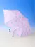 BT21 Rainy Days Guarda Chuva - Loyal K Store