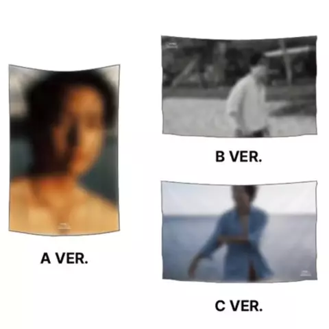 Fabric Poster Type-1 Pop-Up V BTS