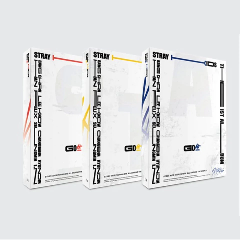 Stray Kids 1st Album GO?