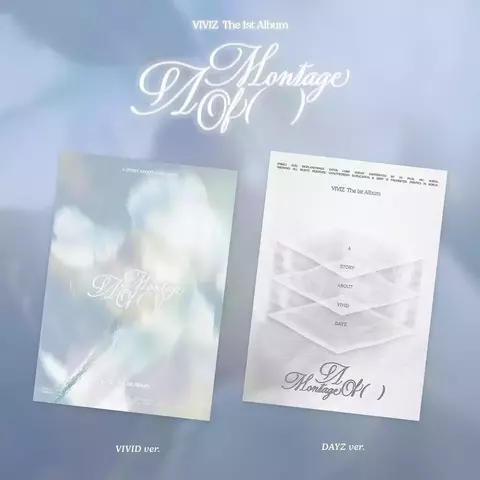 VIVIZ - A MONTAGE OF ( )