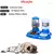 Comedouro Duplo Cachorros Gatos Bebedouro Automático Truqys