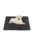 Tapete Gelado P 50X40CM Para Cães E Gatos - comprar online