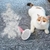 Imagem do Escova removedora de pelos para cães e gatos de estimação