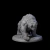 Miniatura Growling Giant Bear - Dungeons & Dragons