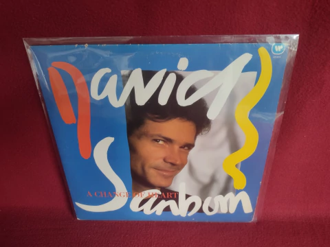 LP David Sanborn – A Change Of Heart - comprar online