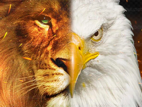 BANDEIRA 05 / LEÃO E ÁGUIA