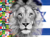 BANDEIRA 53 / LEÃO ISRAEL E NAÇÕES