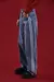 BAGGY STRIP BLUE en internet