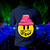 D Gorrito