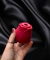 Rosa Estimuladora Clitóris Pulsação 2 vibrador sugador - comprar online