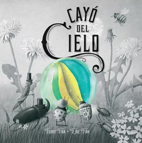 Cayó del cielo