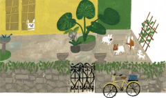 Antoinette - tienda en línea