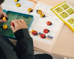 LOGIBUGS: Juego de Lógica en internet